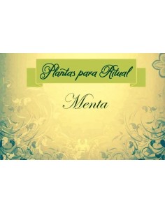 MENTA