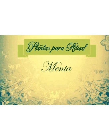 MENTA