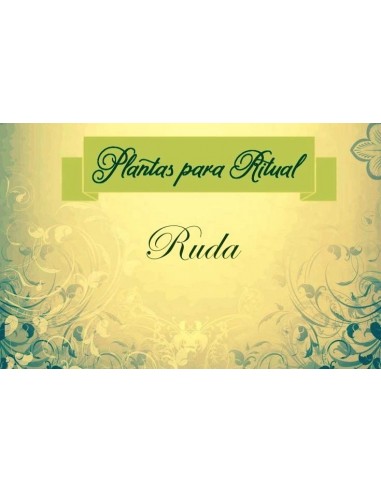 RUDA