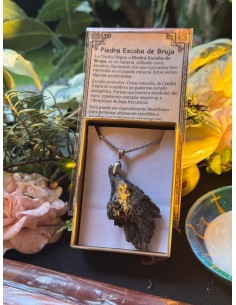 LA ESCOBA DE LAS BRUJAS