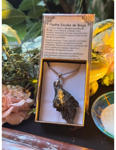 LA ESCOBA DE LAS BRUJAS