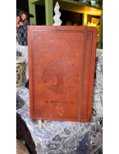 LIBRO DE LA LUZ