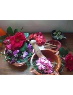 UNA PÓCIMA PODEROSA DE AMOR