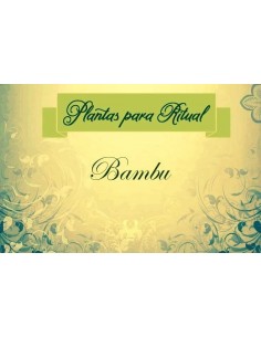 BAMBÚ