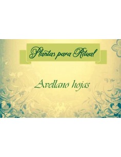 AVELLANO HOJAS