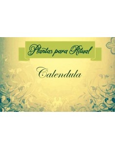 CALENDULA