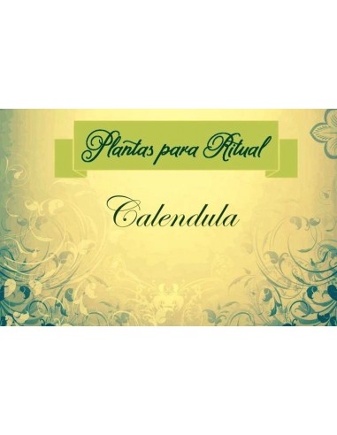CALENDULA