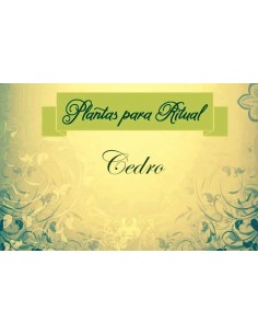 CEDRO