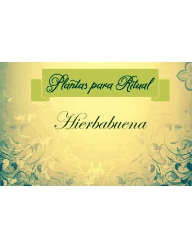 HIERBABUENA